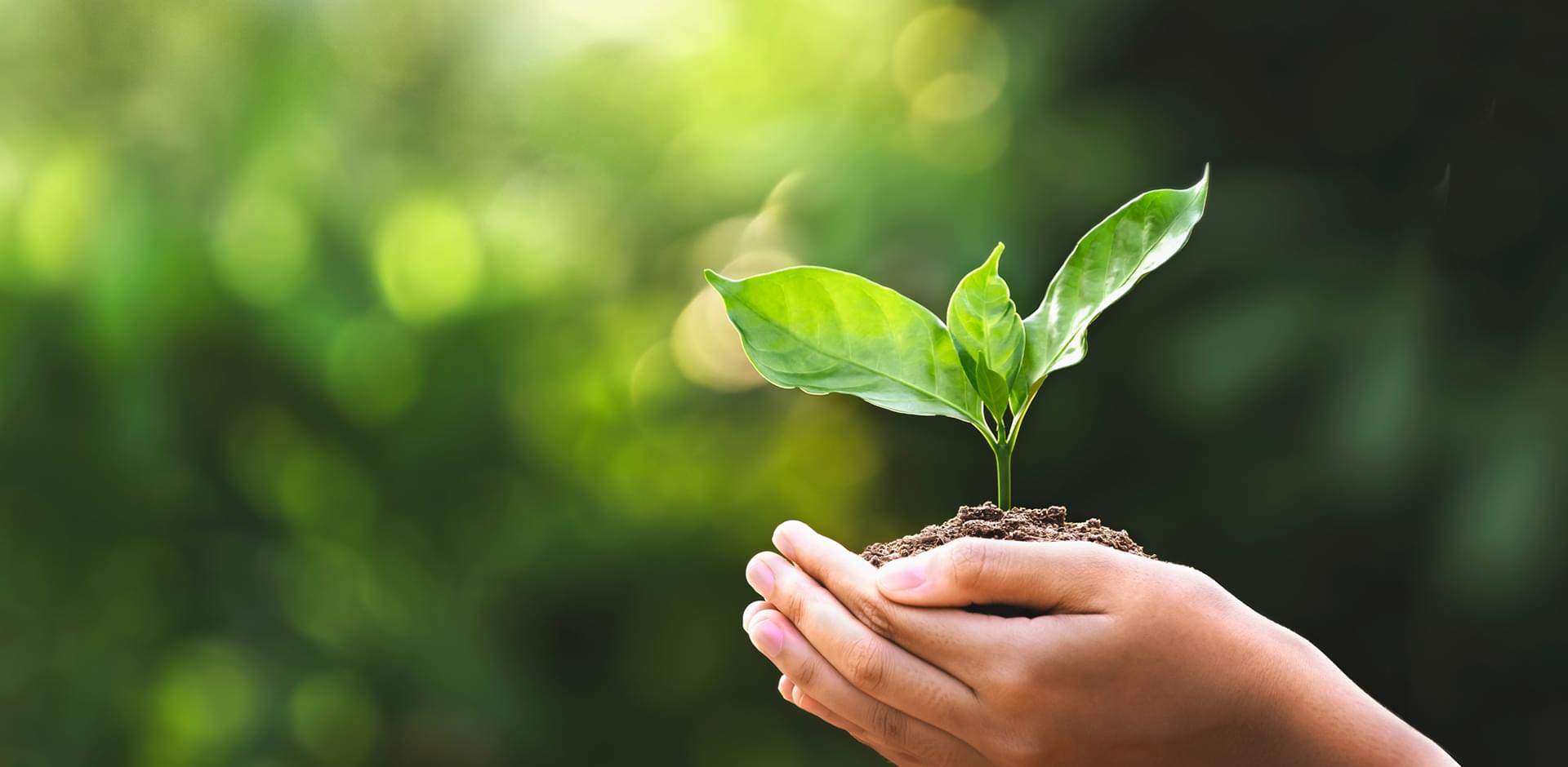 Ecology すべての活動に環境保全への意識向上、そして推進へ