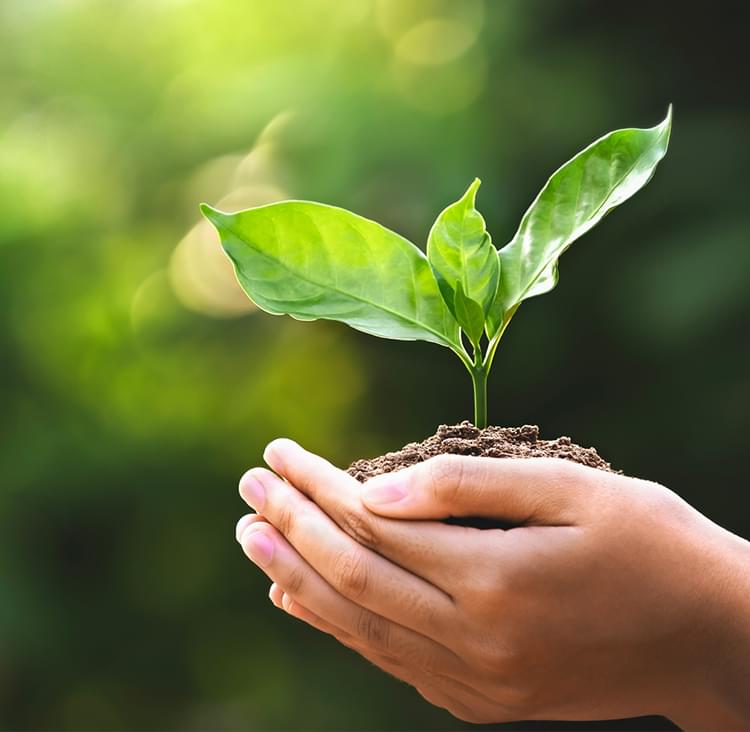 Ecology すべての活動に環境保全への意識向上、そして推進へ